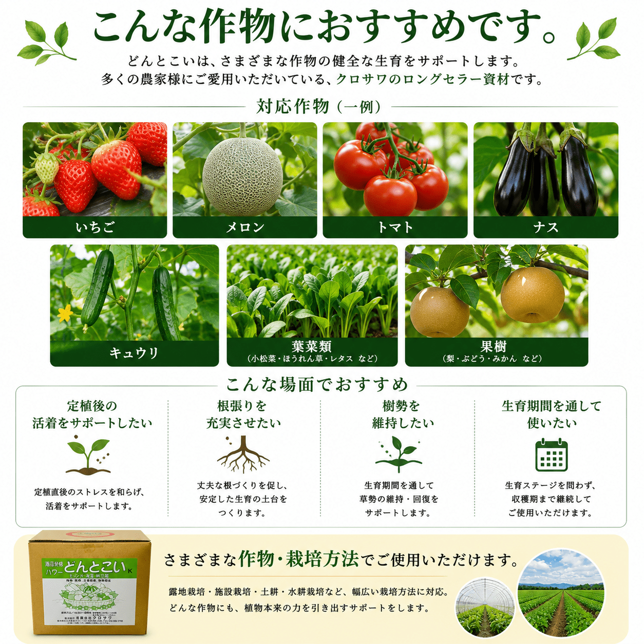 どんとこい