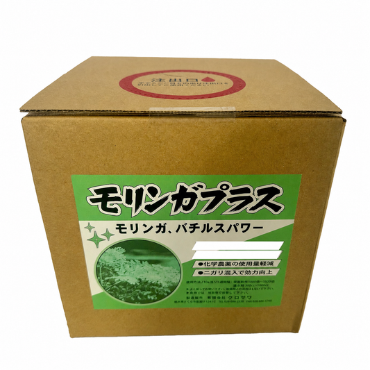 モリンガプラス