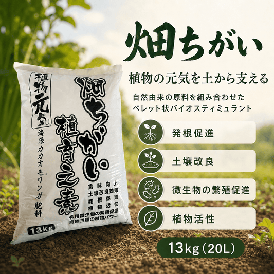 畑ちがい