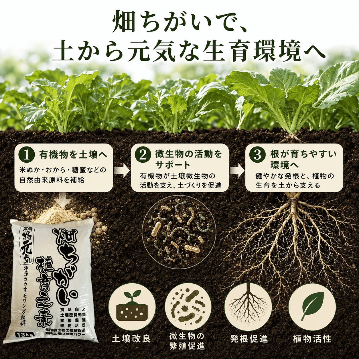 畑ちがい