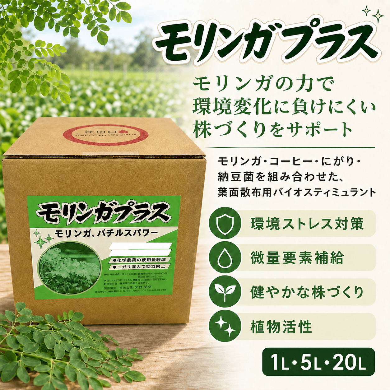 モリンガプラス
