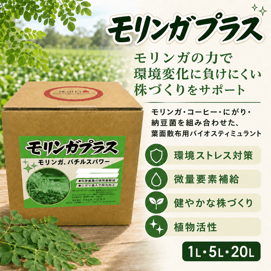モリンガプラス