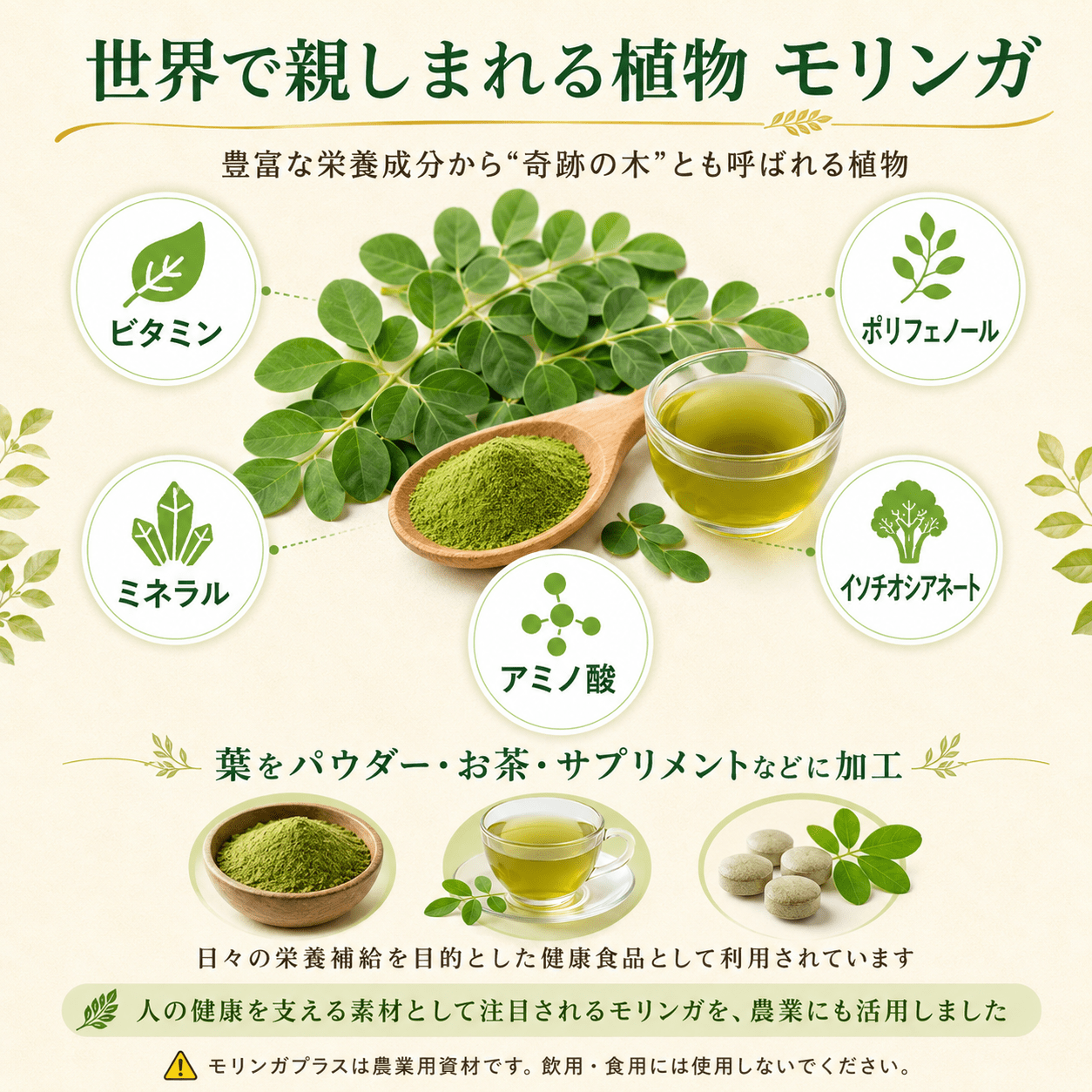 モリンガプラス