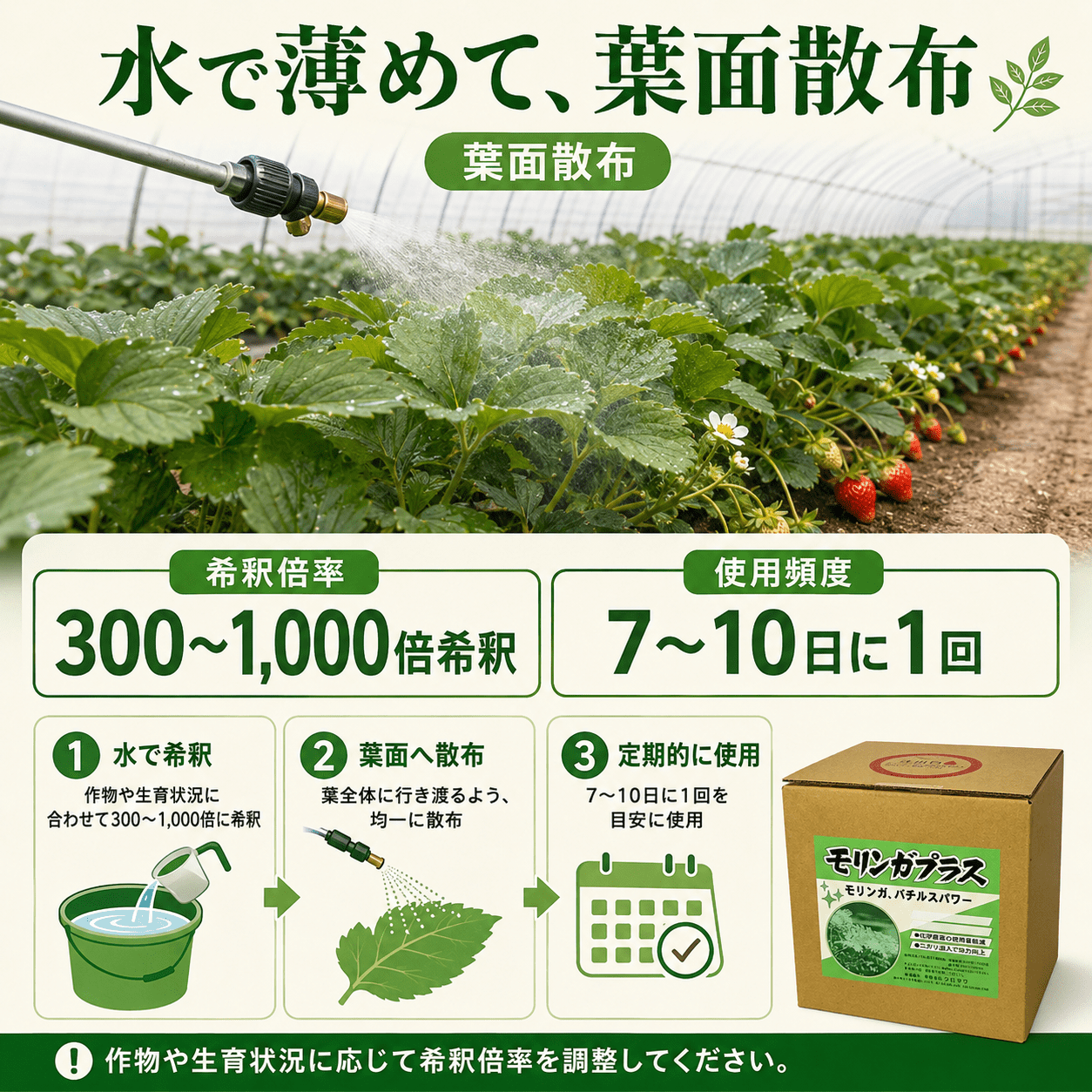 モリンガプラス