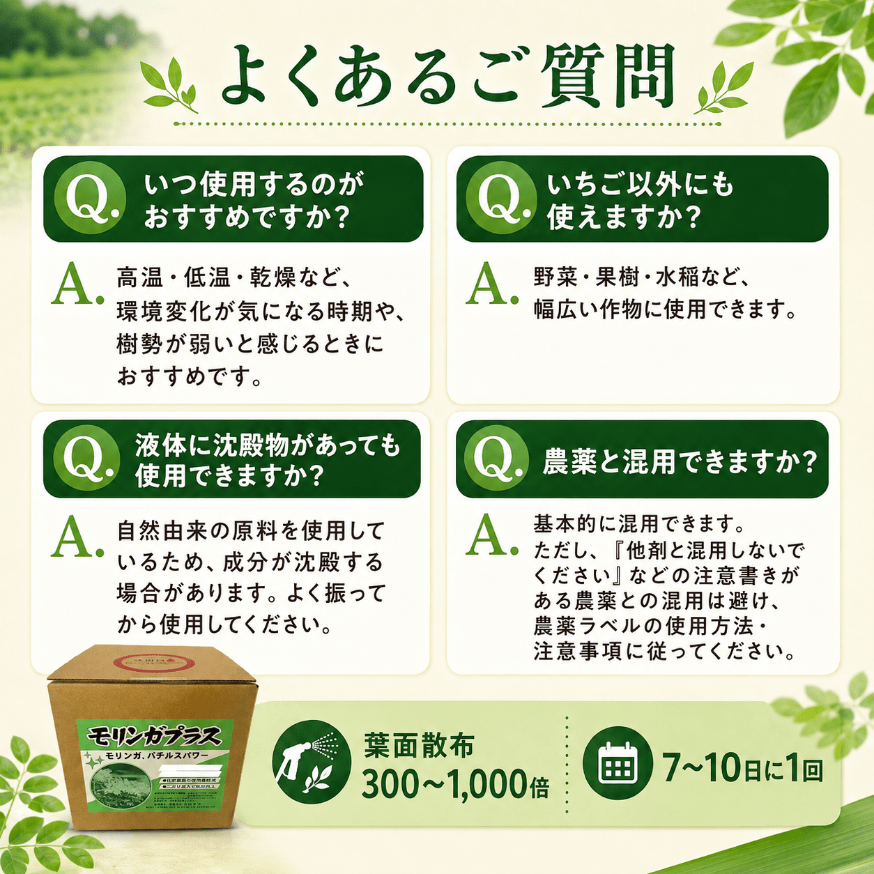 モリンガプラス