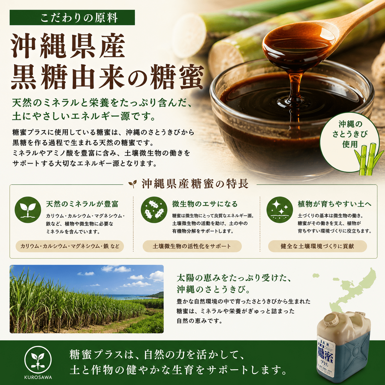糖蜜プラス