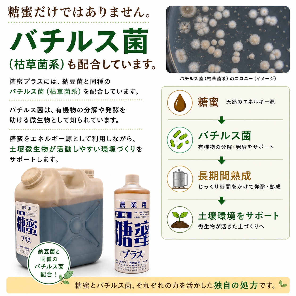 糖蜜プラス