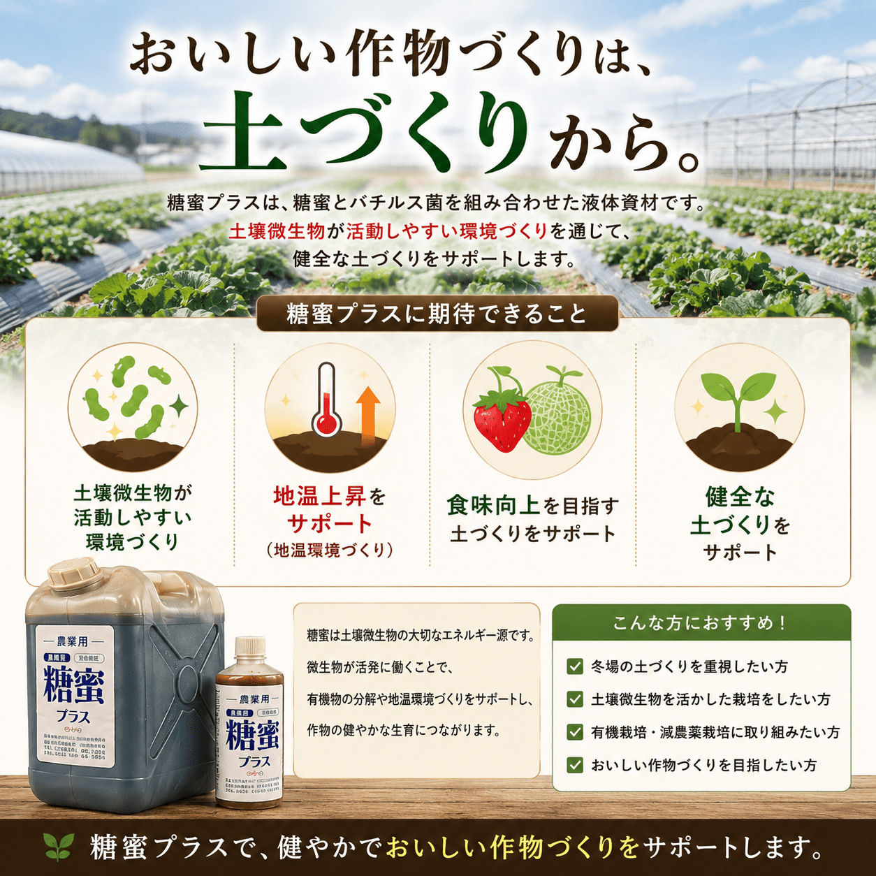 糖蜜プラス